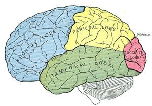 Alternative Memory Models for ITK Images