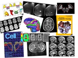 User Guide to The Computational Morphometry Toolkit